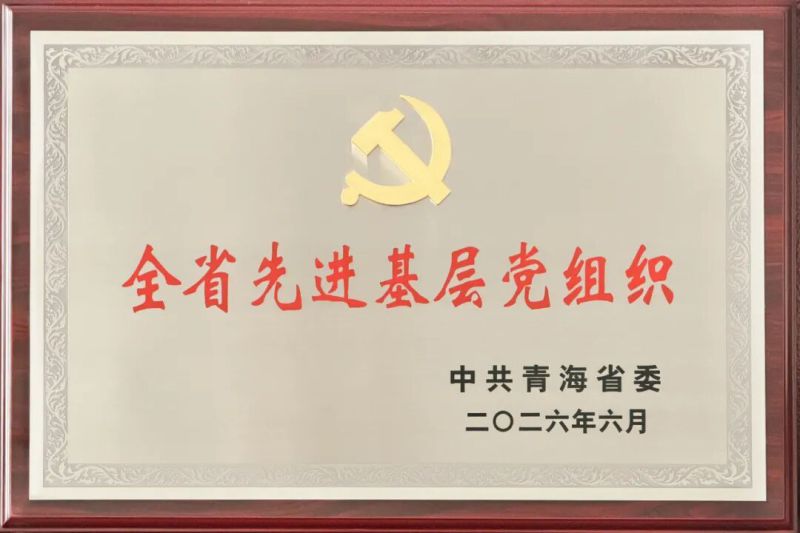 喜报！省物产集团党委及所属集体个人荣获全省和省国资委系统“两优一先”表彰